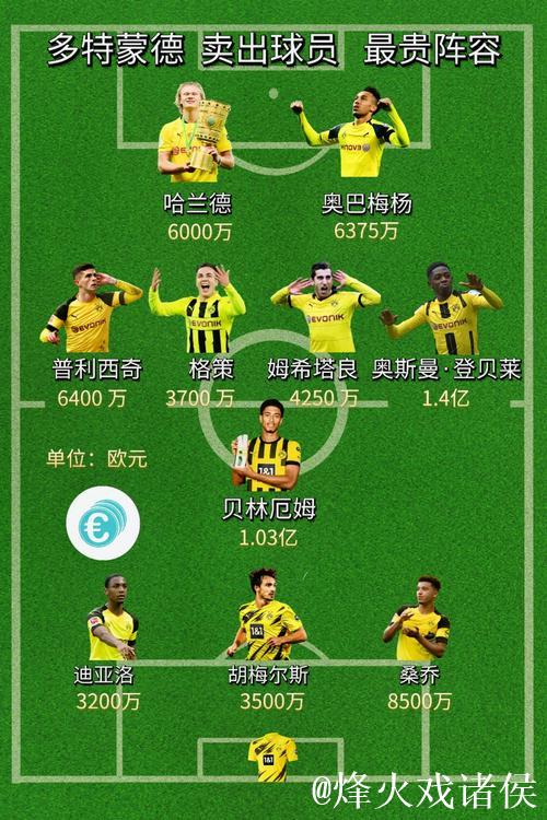 多特蒙德球员出身分类分析